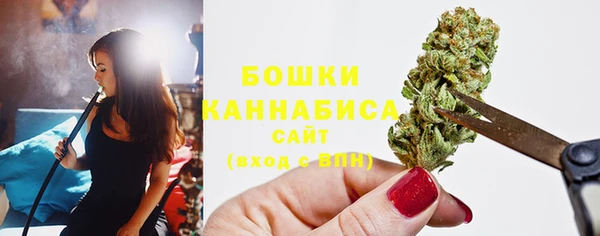 прущие крисы Заводоуковск