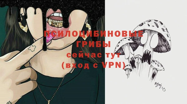 метадон Заволжск