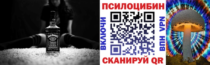 Купить где  Иннополис  Галлюциногенные грибы Magic Shrooms 